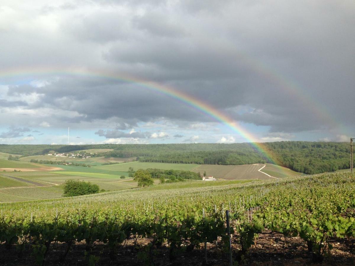 Flor'Ever En Champagne Fleury-la-Riviere Exterior photo