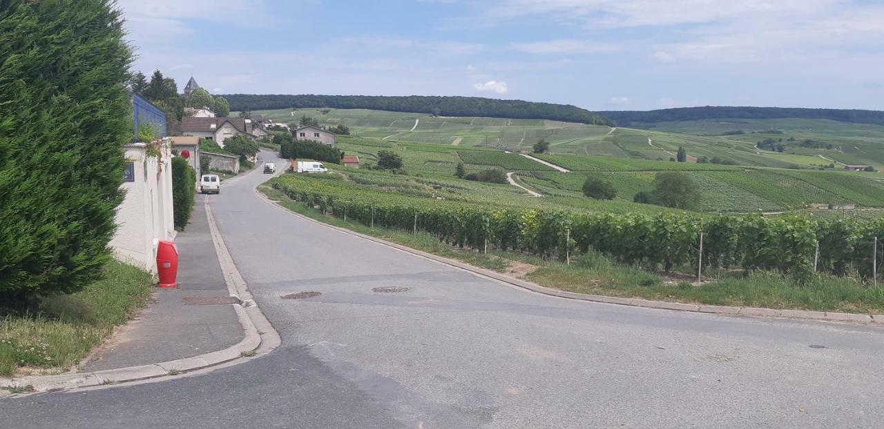 Flor'Ever En Champagne Fleury-la-Riviere Exterior photo